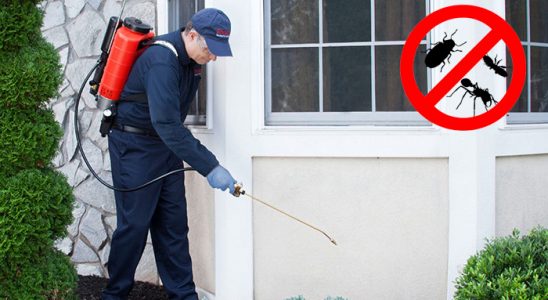 Büyükorhan Dezenfeksiyon böcek ilaçlama ve haşere kontrolü — ilaclama-tr.com